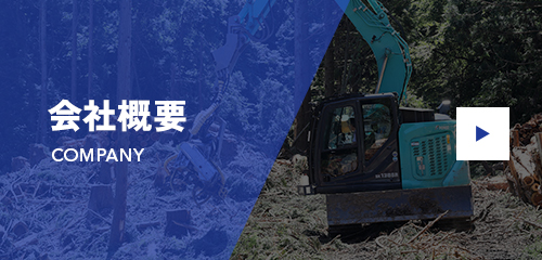 bnrhalf_company_off