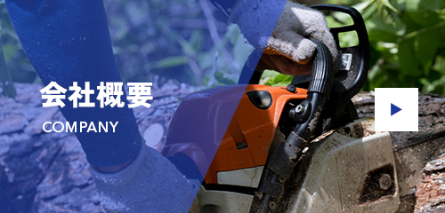bnrhalf_company_off