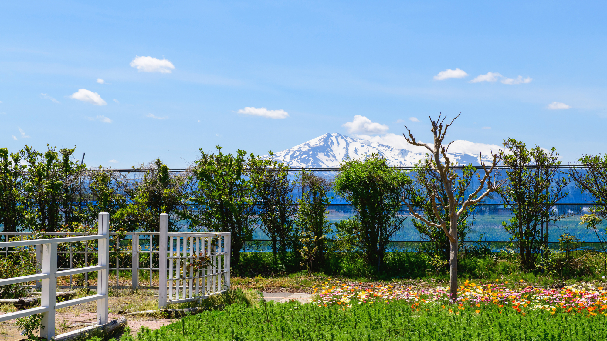 pixta_139786660_M